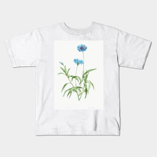 Cornflower - Botanical Illustration Kids T-Shirt